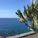 C3B417FA-9C0F-4B9C-B4C6-6D75EE35D984