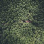 sergio-souza-1uoE_66VFZs-unsplash